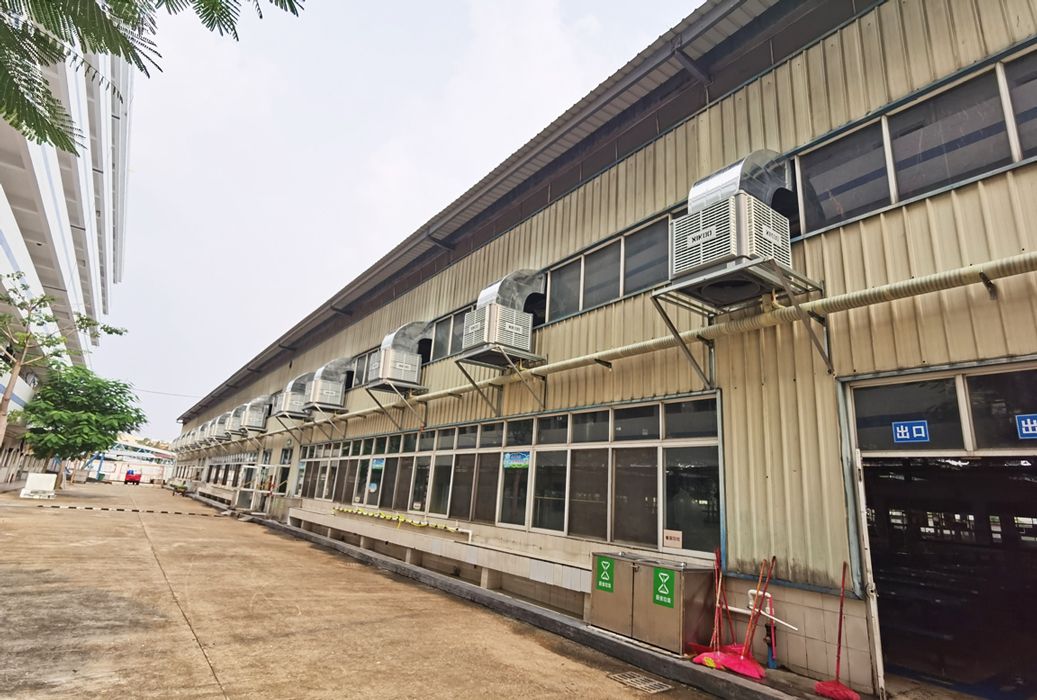 學校食堂降溫通風工程案例.jpg 學校食堂降溫通風工程案例.jpg